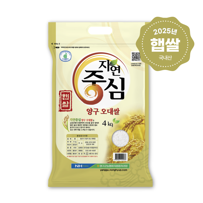 강원더몰,2025년산 햅쌀 양구 오대쌀 4kg 강원 백미 당일도정
